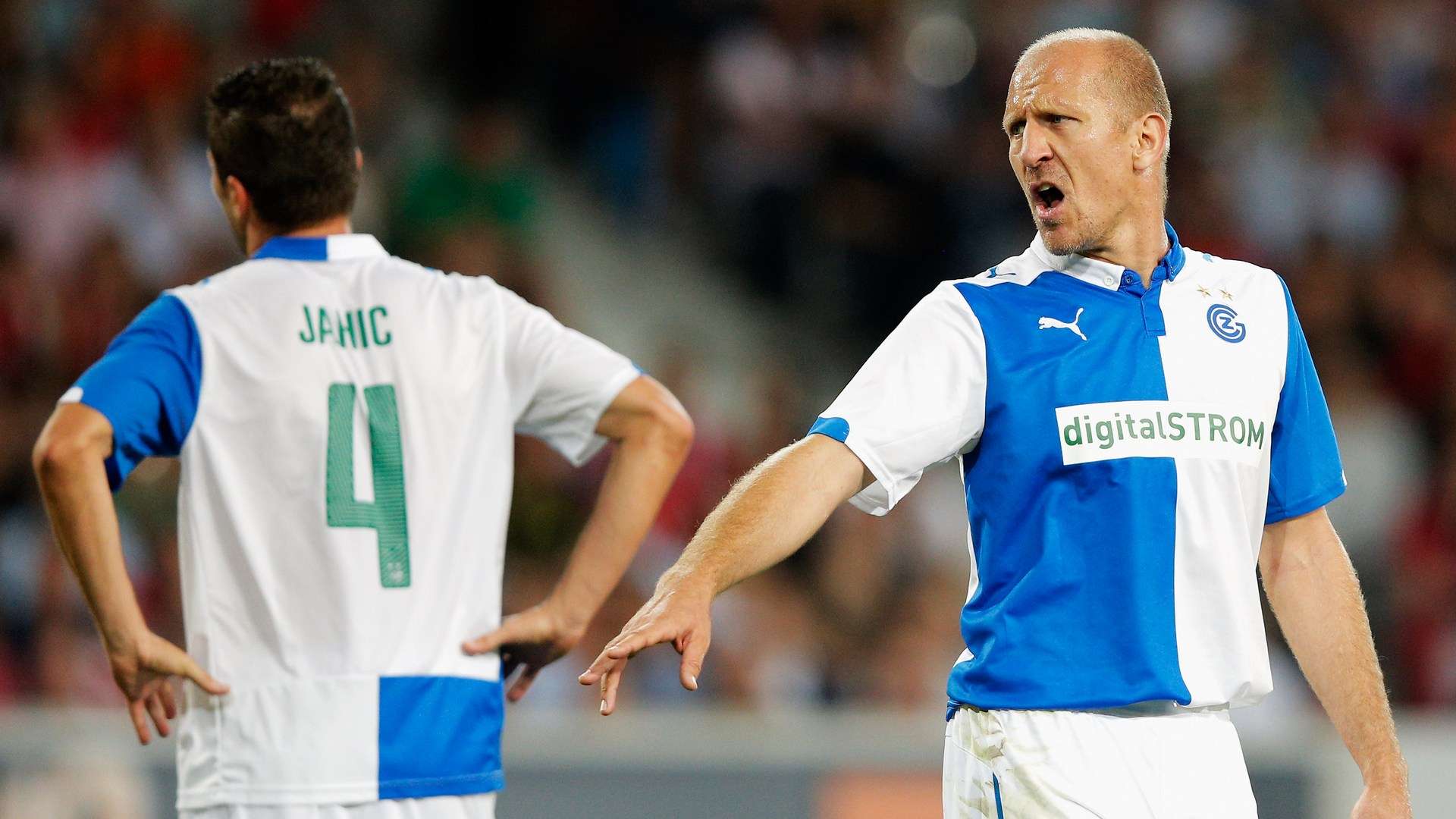 到绿地时代 到绿地时代