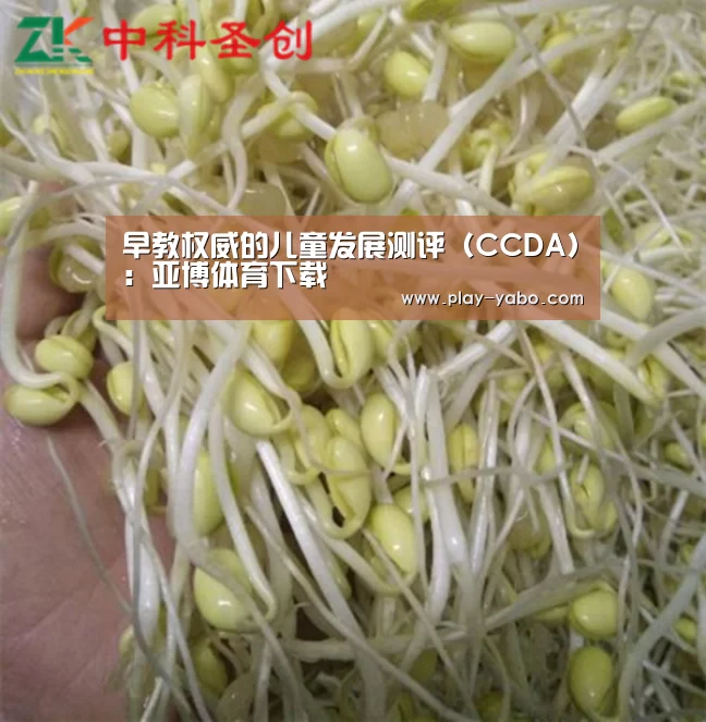 亚博网站