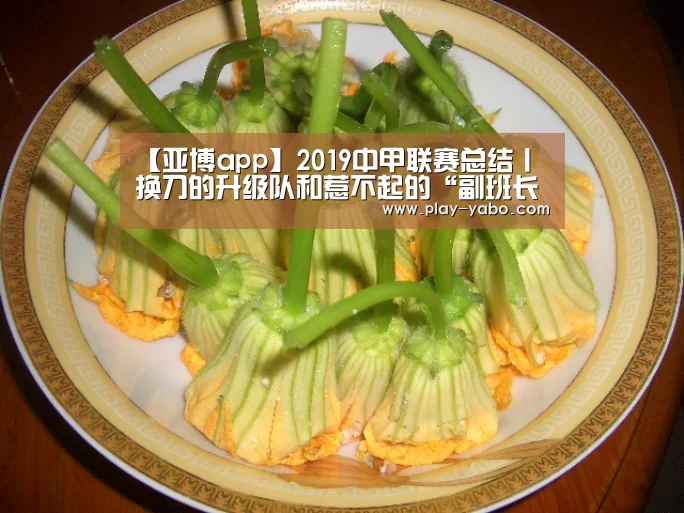 【亚博app】2019中甲联赛总结丨换刀的升级队和惹不起的“副班长”(图1) 亚博app
