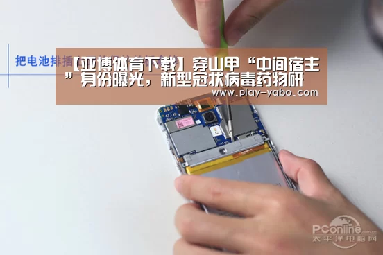 【亚博体育下载】穿山甲“中间宿主”身份曝光,新型冠状病毒药物研发曙光乍现(图1) 亚博app