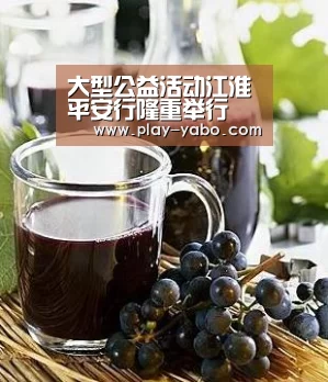 大型公益活动江淮平安行隆重举行 四百余人齐聚大胜驾校共襄盛举|亚博平台(图4) 亚博平台