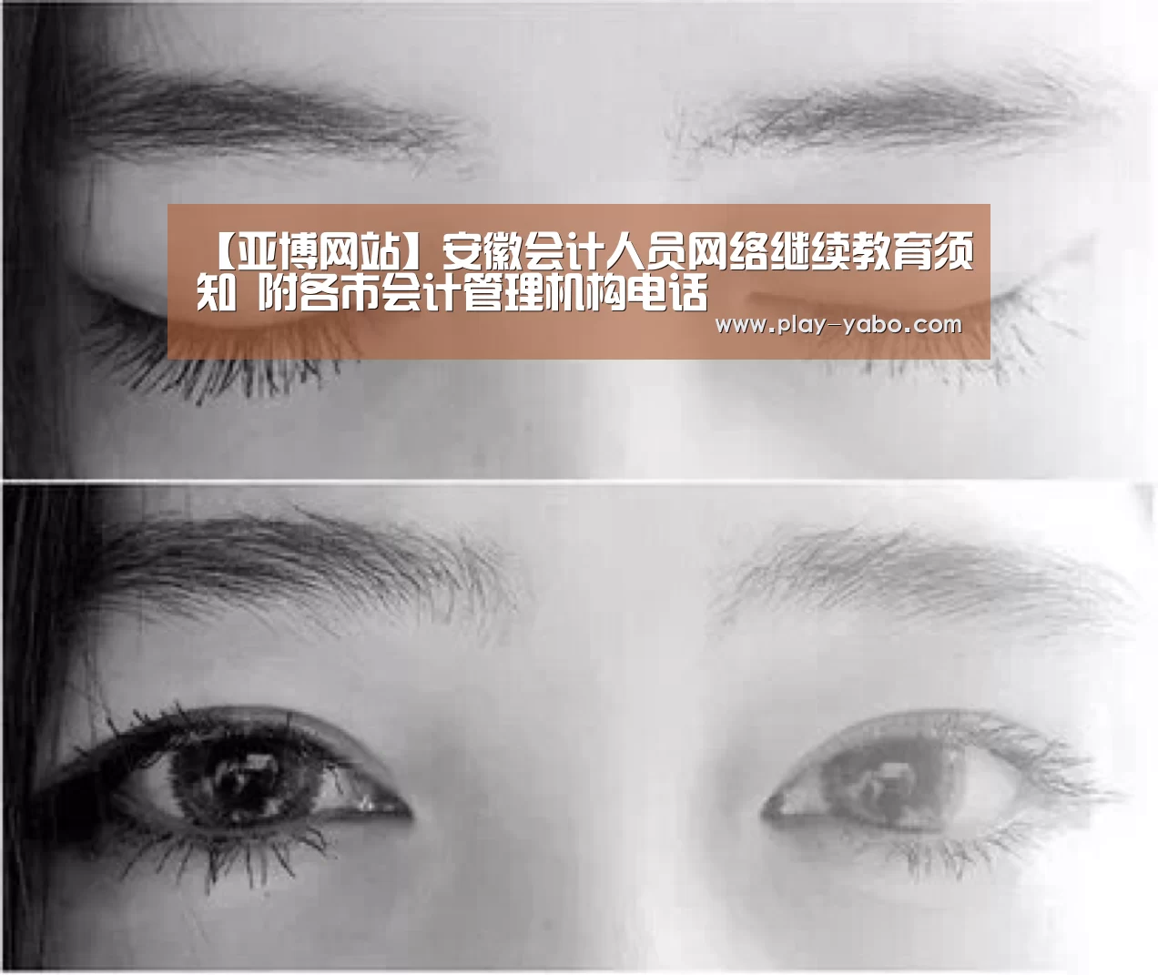亚博网站